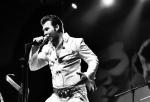 Elvis Live - Jakub Machulda