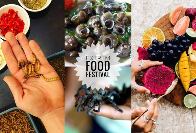 Extrem food a travel festival Pardubice