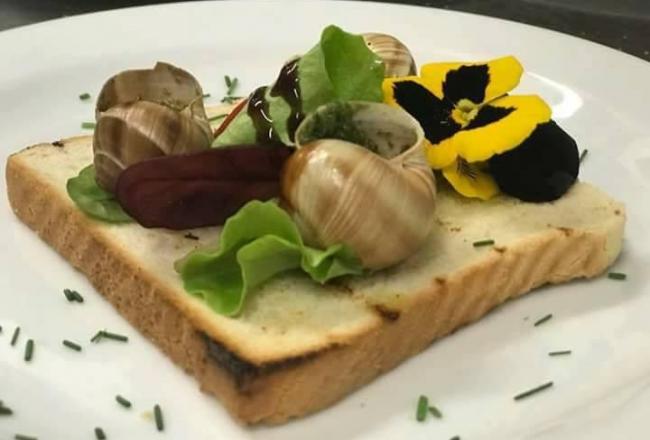 Extrem food a travel festival Boskovice 2020