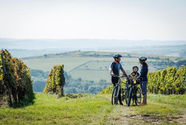 Krajem vína - Hore dole vinohrady Strážnicka 2026