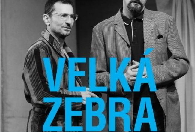 VELKÁ ZEBRA  ANEB JAK ŽE SE TO JMENUJETE?