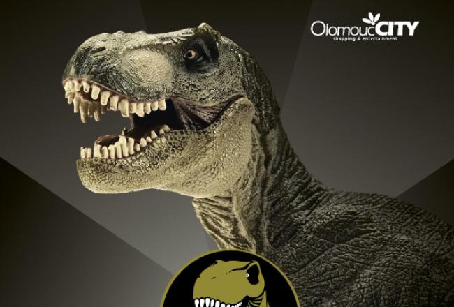 Výstava Dinosaurů - DINOSHOW