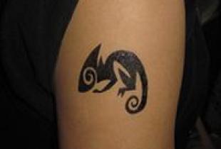 chameleon