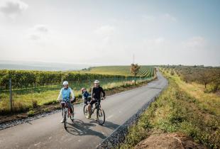 Krajem vína - Putování za burčákem po Modrých horách 2026