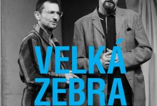 VELKÁ ZEBRA ANEB JAK ŽE SE TO JMENUJETE?