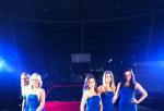 BMW hostesky